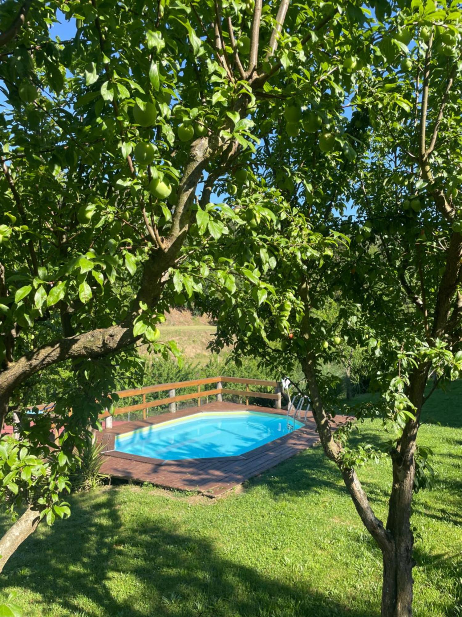 Vila Casinha A Porta Arouca Exteriér fotografie