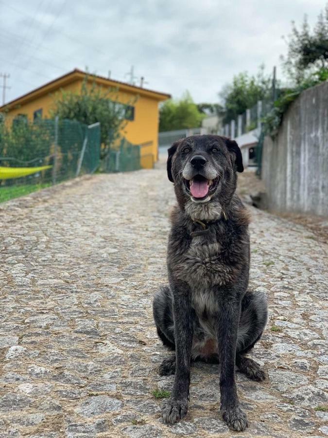 Vila Casinha A Porta Arouca Exteriér fotografie